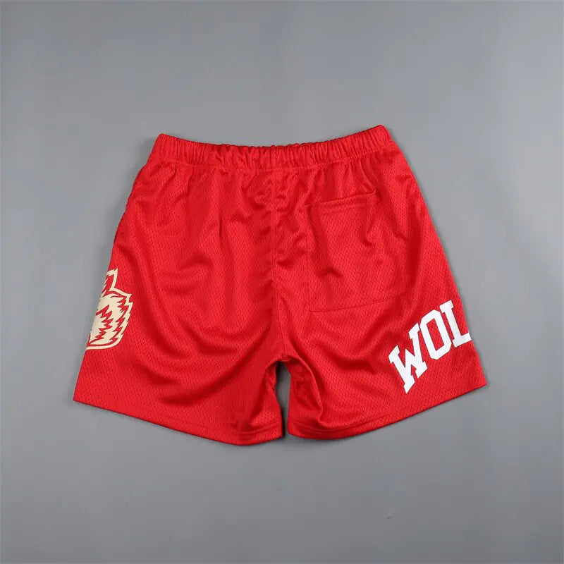 Darc Wolves Men's Double Layer Sport Mesh Shorts